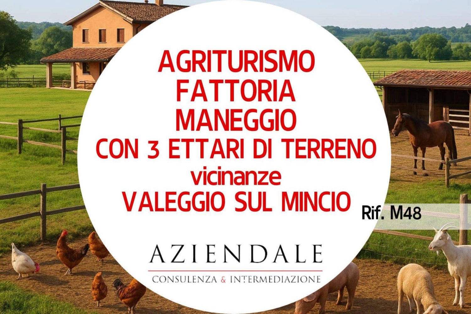 Hotel in Valeggio sul Mincio, Italy 35000m², Nr. 326173