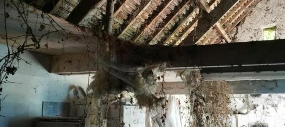 Casa T1 em Lorges, France N.º 93404 6