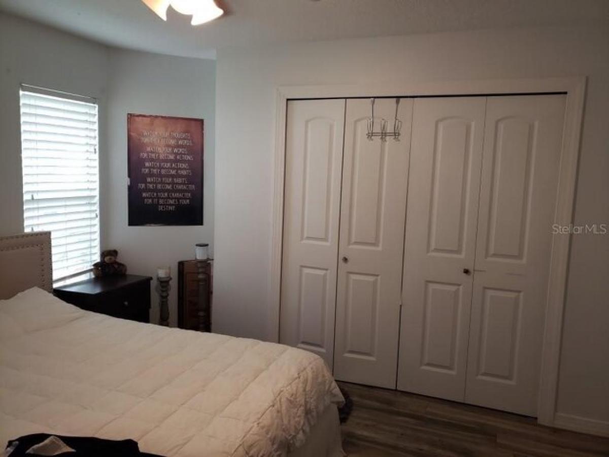 Casa T3 em Palm Harbor, USA N.º 391995