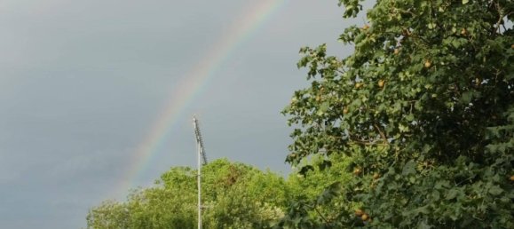 3-salle Appartement à Lustenau, Austria No. 245460 23