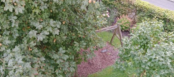 3-salle Appartement à Lustenau, Austria No. 245460 2