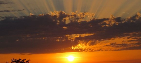 Dúplex de 2 habitaciónes en Castellina Marittima, Italy No. 110548 13