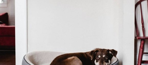 Adosado de 3 dormitorios en Nuremberg, Germany No. 230594 10