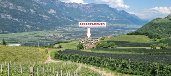 3 chambres Appartement à Trentino-Alto Adige, Italy No. 294778 22