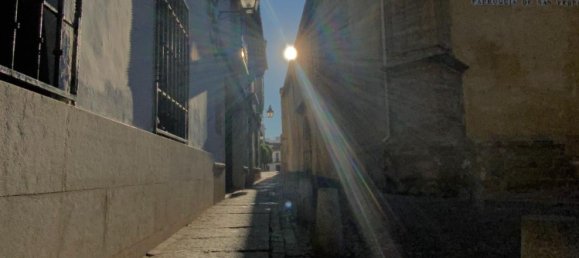 17 Schlafzimmer Haus in Cordoba, Spain, Nr. 77257 36