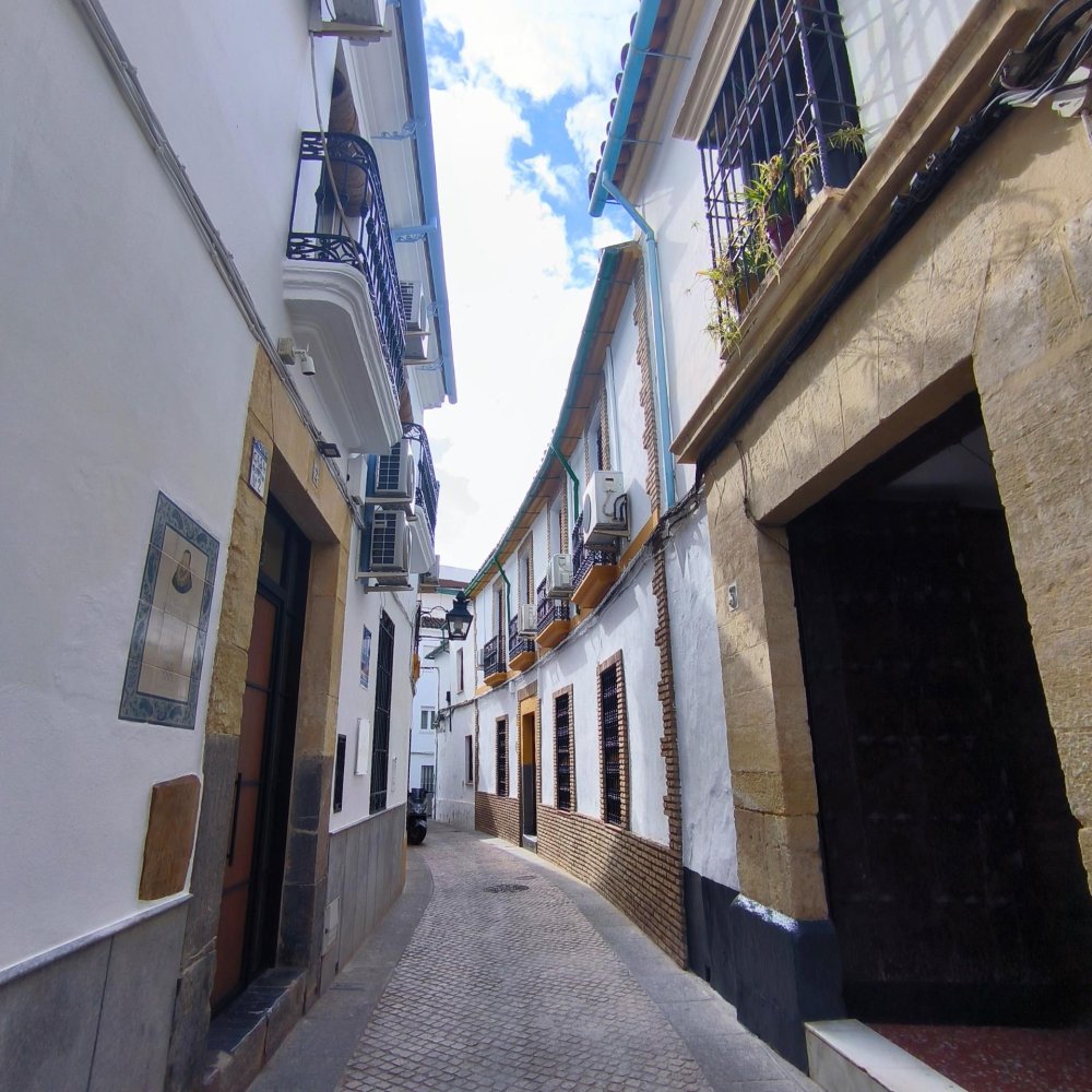 17 Schlafzimmer Haus in Cordoba, Spain, Nr. 77257
