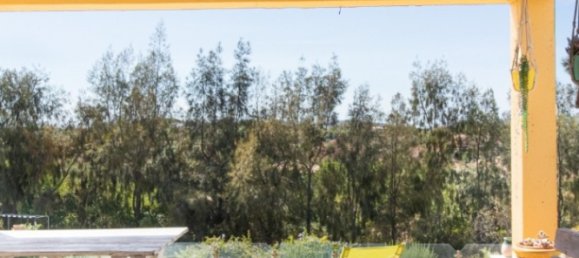 4 bedrooms Villa in Sao Bras de Alportel, Portugal No. 150679 10