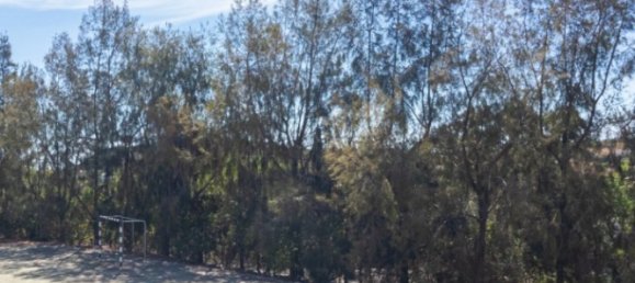 4 bedrooms Villa in Sao Bras de Alportel, Portugal No. 150679 32