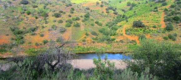 18680m² Land in Odeleite, Portugal No. 80174 2