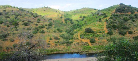 18680m² Land in Odeleite, Portugal No. 80174 4