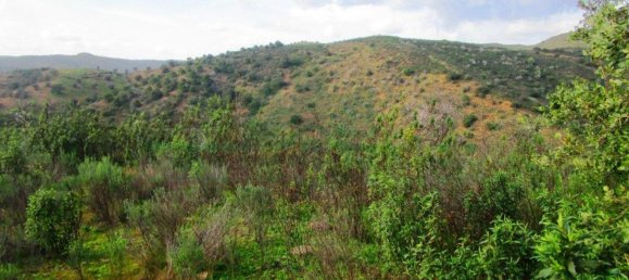 18680m² Land in Odeleite, Portugal No. 80174 10