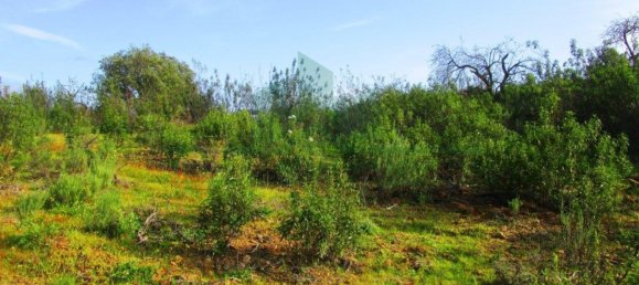 18680m² Land in Odeleite, Portugal No. 80174 5