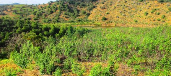 18680m² Land in Odeleite, Portugal No. 80174 14