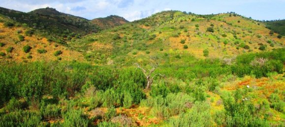 18680m² Land in Odeleite, Portugal No. 80174 7