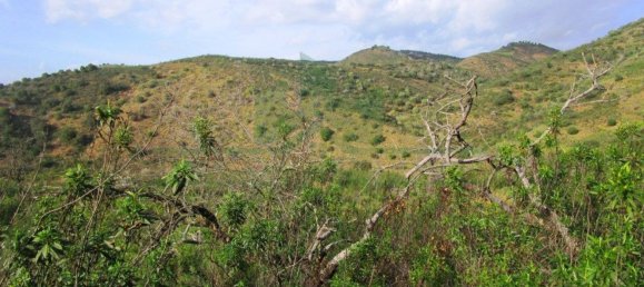 18680m² Land in Odeleite, Portugal No. 80174 18