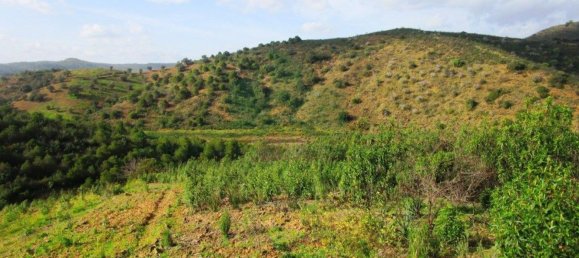 18680m² Land in Odeleite, Portugal No. 80174 16