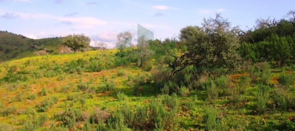 18680m² Land in Odeleite, Portugal No. 80174 6