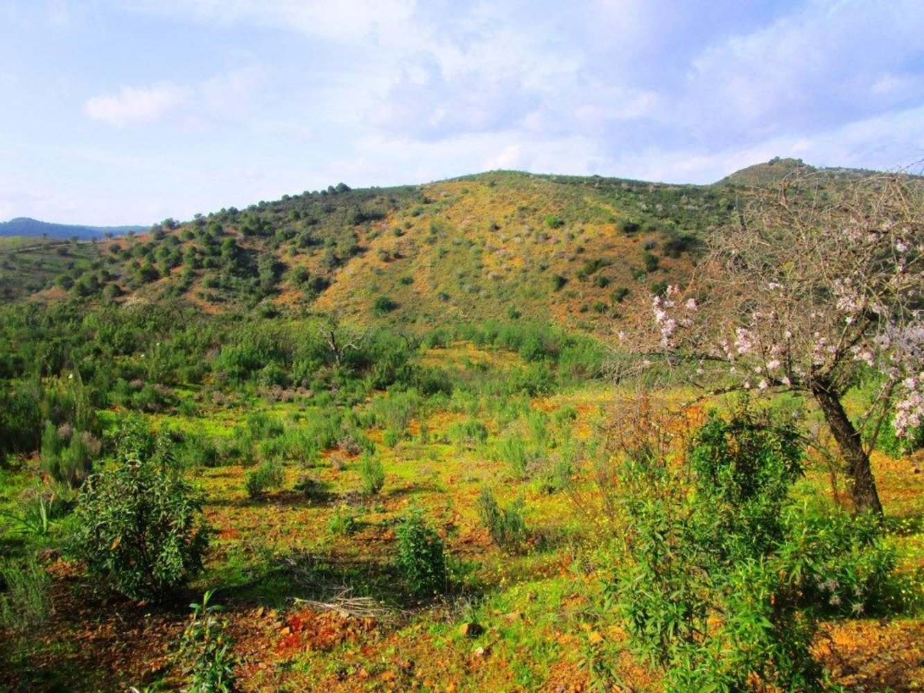 18680m² Land in Odeleite, Portugal No. 80174