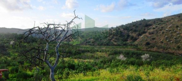 18680m² Land in Odeleite, Portugal No. 80174 9