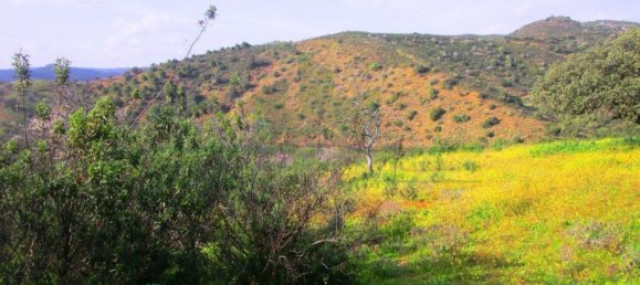 18680m² Land in Odeleite, Portugal No. 80174 19