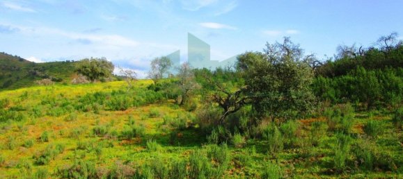 18680m² Land in Odeleite, Portugal No. 80174 3