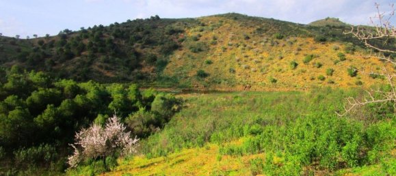 18680m² Land in Odeleite, Portugal No. 80174 13