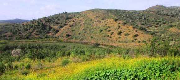 18680m² Land in Odeleite, Portugal No. 80174 21