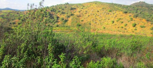 18680m² Land in Odeleite, Portugal No. 80174 12