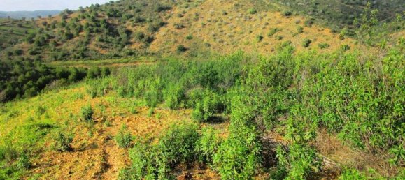 18680m² Land in Odeleite, Portugal No. 80174 17