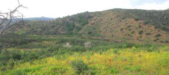 18680m² Land in Odeleite, Portugal No. 80174 8