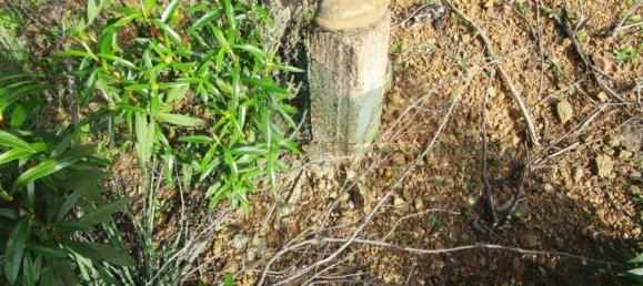 18680m² Land in Odeleite, Portugal No. 80174 15