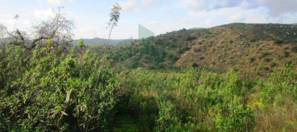 18680m² Land in Odeleite, Portugal No. 80174 11