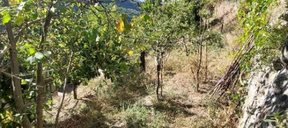 3-Zimmer Haus in Londa, Italy, Nr. 124740 20