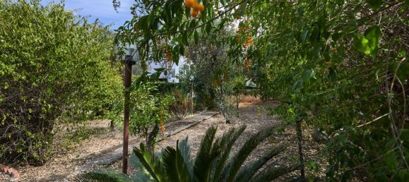 5 bedrooms Villa in Carini, Italy No. 336268 15