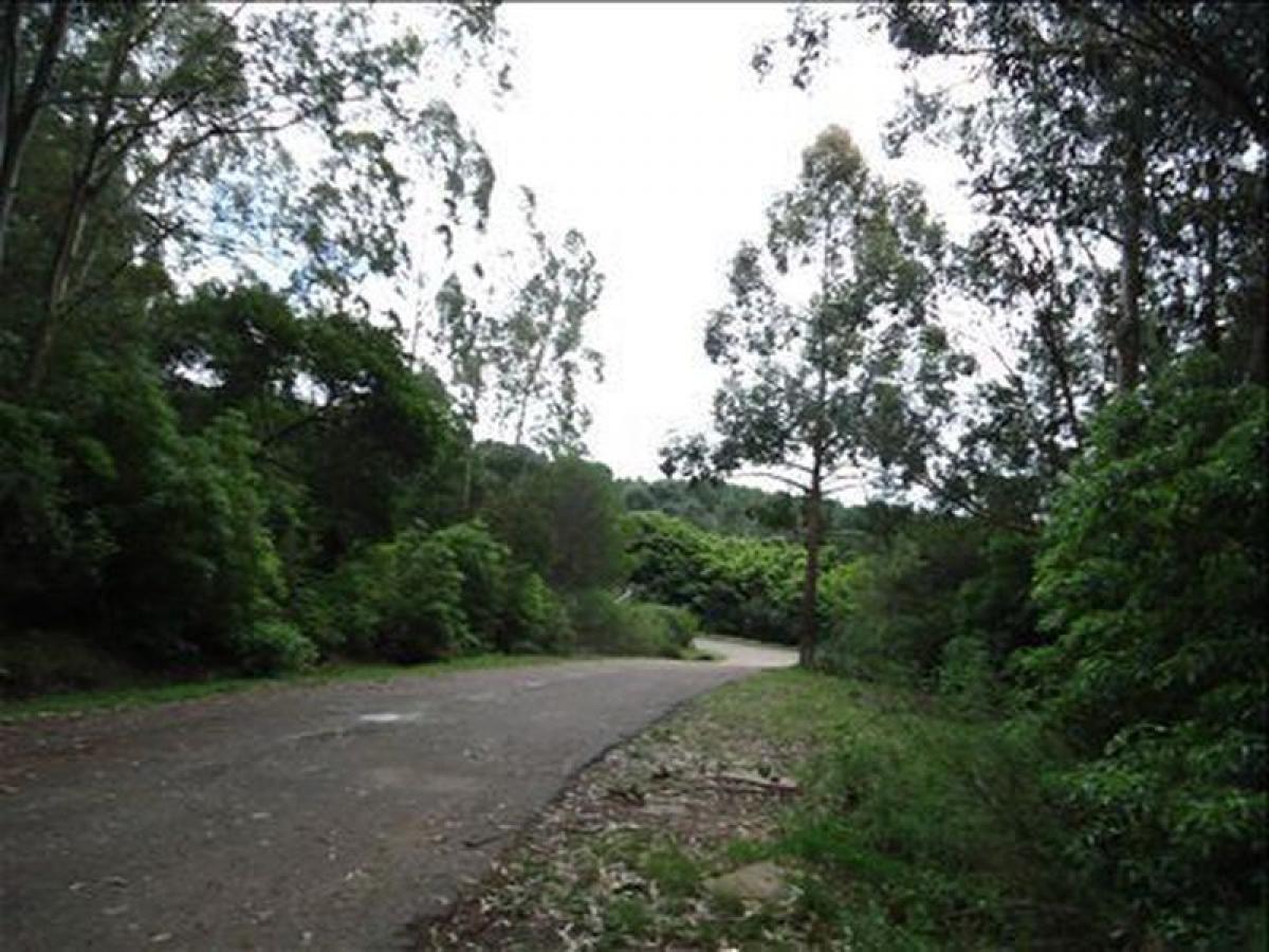 Земельный участок в Мальдонадо, Уругвай № 16088