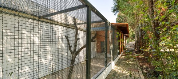 5 bedrooms House in Penafiel, Portugal No. 126963 21