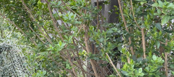 6 rooms Building in Granges-Aumontzey, France No. 73689 2