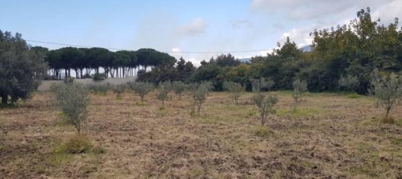 Grundstück in Gizzeria, Italy 3980m², Nr. 39273 5