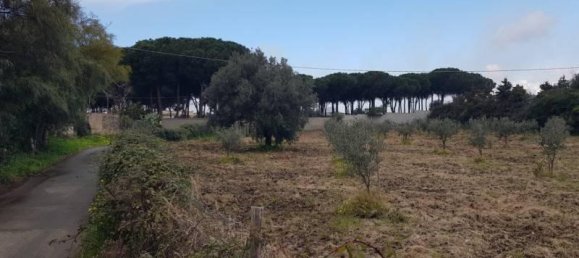 Grundstück in Gizzeria, Italy 3980m², Nr. 39273 6