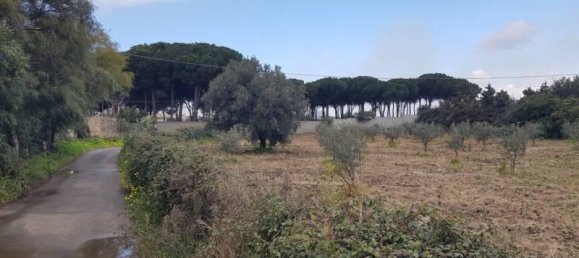 Grundstück in Gizzeria, Italy 3980m², Nr. 39273 7