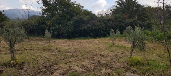 Grundstück in Gizzeria, Italy 3980m², Nr. 39273 4