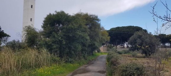 Grundstück in Gizzeria, Italy 3980m², Nr. 39273 8