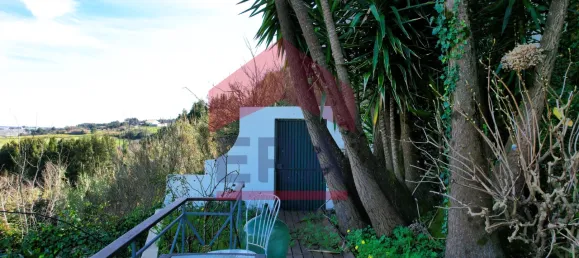 4 غرف نوم منزل في Obidos, Portugal رقم 139377 18