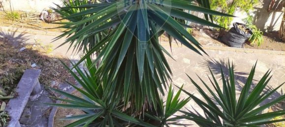 6 bedrooms House in Castel Volturno, Italy No. 322452 27