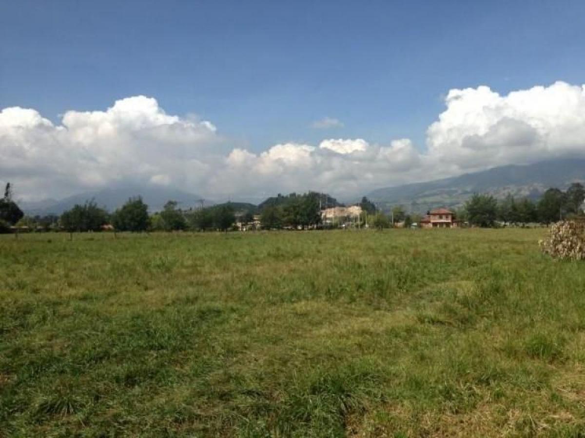 Студия в Кундинамарка, Колумбия № 8476