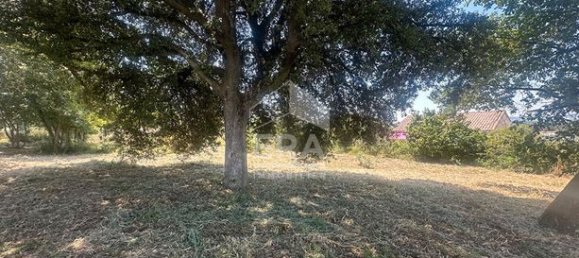 Grundstück in Tarn, France 1254m², Nr. 303850 3