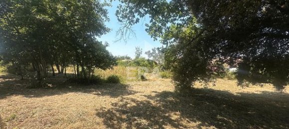 Grundstück in Tarn, France 1254m², Nr. 303850 4