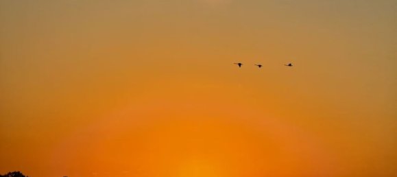 Terrain à Beachmere, Australia 28100m² No. 248 3