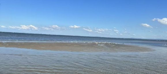 Terrain à Beachmere, Australia 28100m² No. 248 6