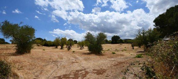 Casa de 4 habitaciónes en Ostuni, Italy No. 290087 8